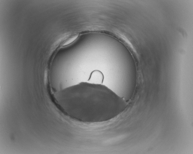 X0000115840019200911271230