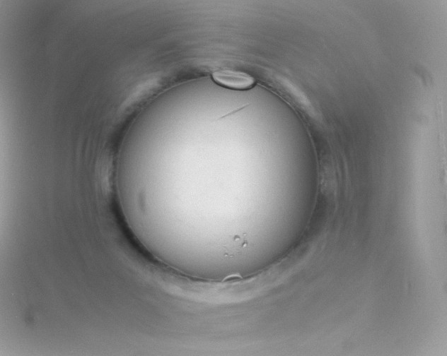 X0000115840023200911271230