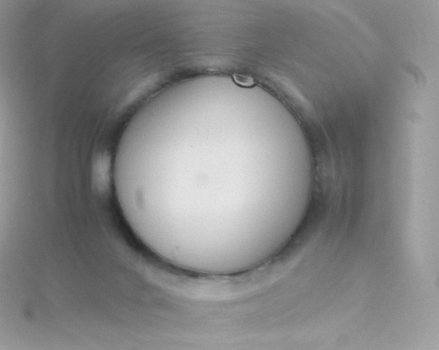 X0000115840024200911271230