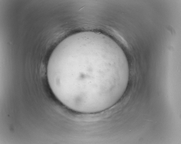 X0000115840025200911271230