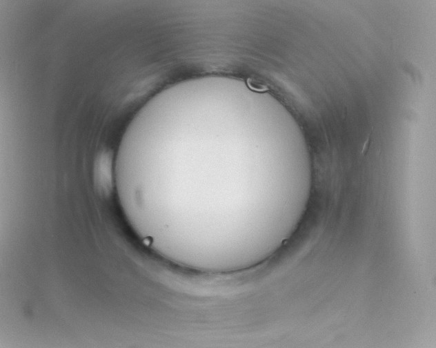 X0000115840028200911271230