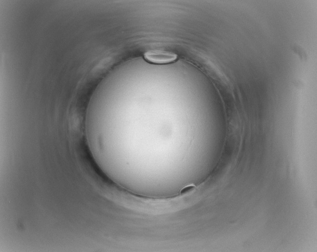 X0000115840031200911271230