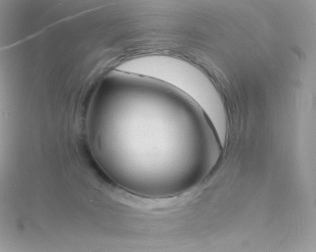 X0000115840035200911271230