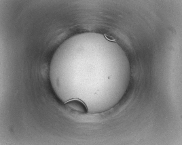 X0000115840036200911271230