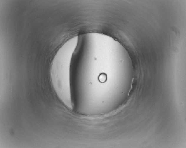 X0000115840041200911271230