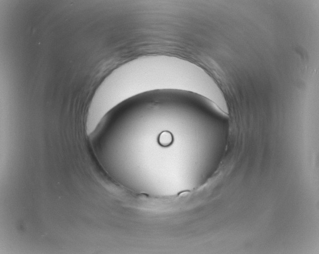 X0000115840045200911271230