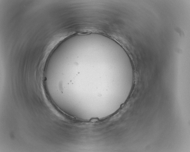 X0000115840049200911271229