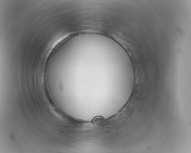 X0000115840050200911271229