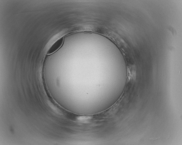 X0000115840051200911271229