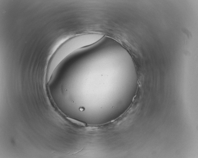 X0000115840052200911271229