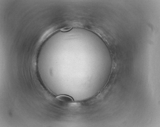 X0000115840053200911271229