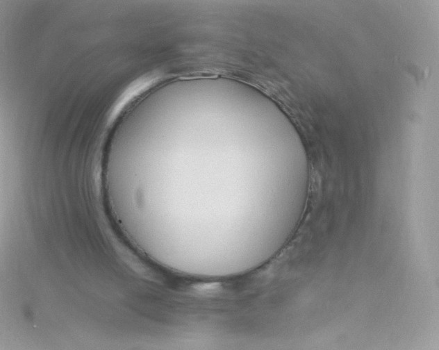 X0000115840054200911271229