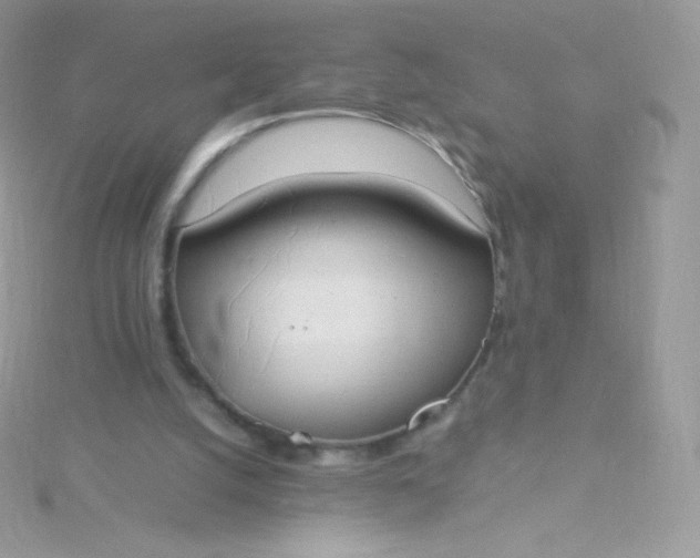 X0000115840056200911271229