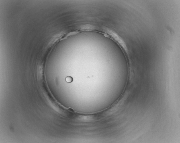 X0000115840057200911271229