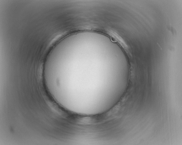 X0000115840058200911271229