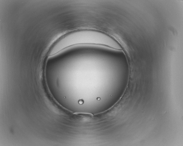 X0000115840060200911271229