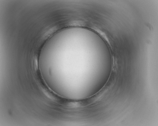 X0000115840061200911271229