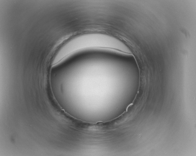 X0000115840064200911271229