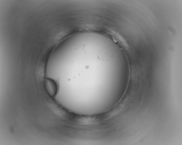 X0000115840065200911271229