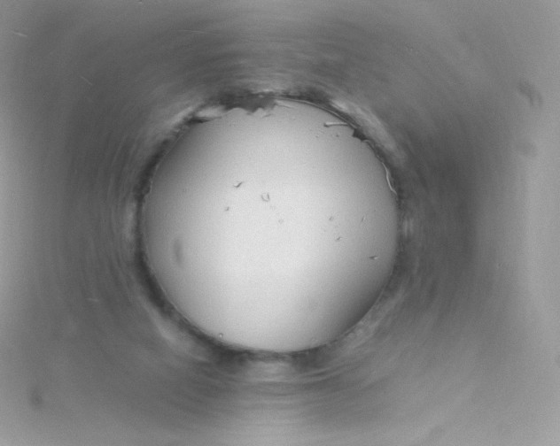 X0000115840066200911271229