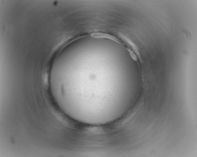 X0000115840067200911271229