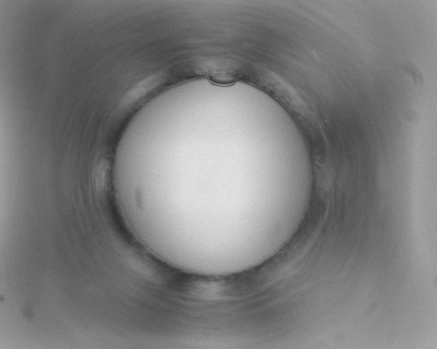 X0000115840071200911271229