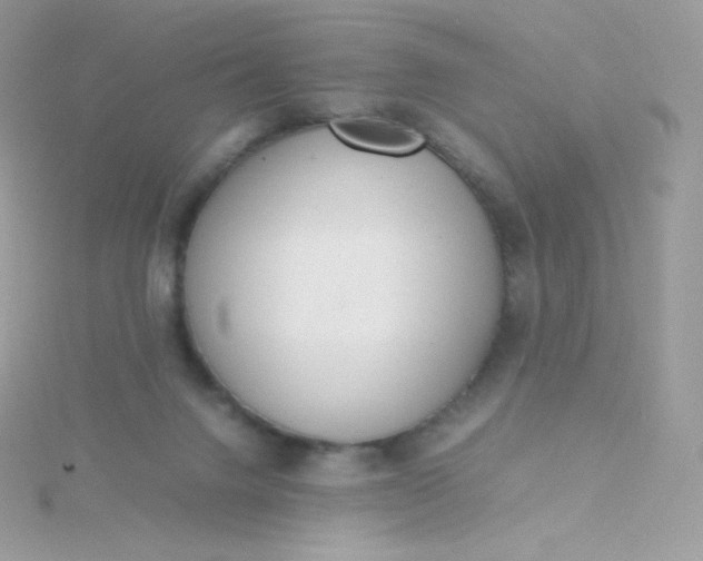 X0000115840072200911271229