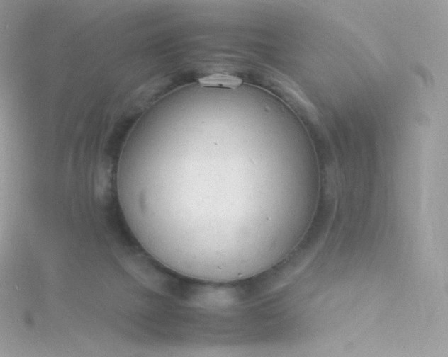 X0000115840073200911271229