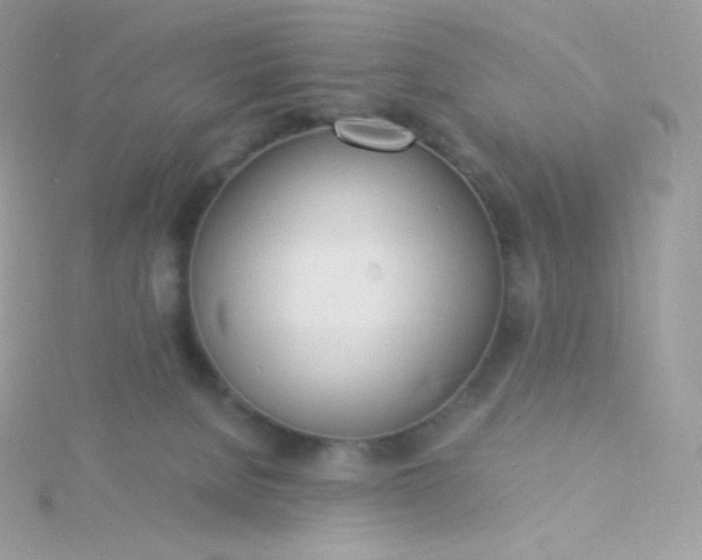 X0000115840080200911271230