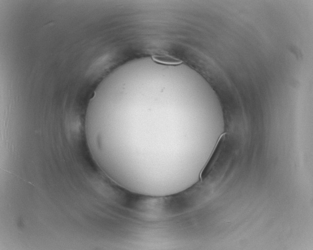 X0000115840084200911271230