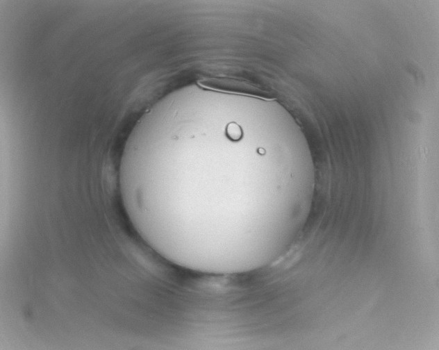 X0000115840086200911271230