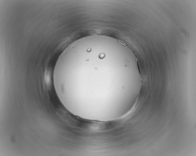 X0000115840094200911271230