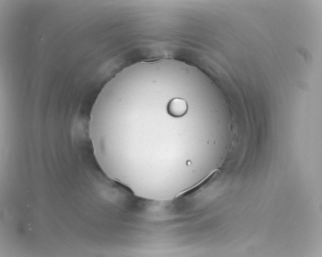 X0000115840096200911271230