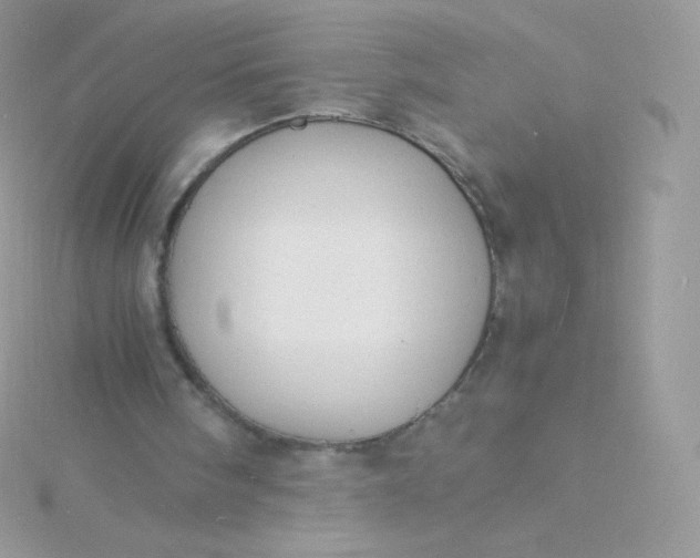 X0000115840098200911271229