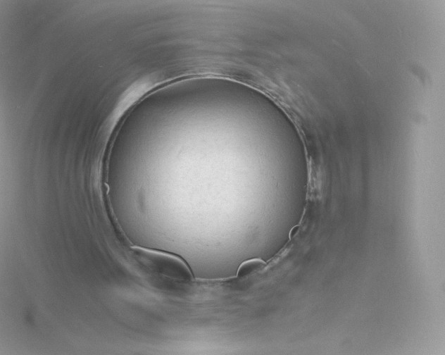 X0000115840099200911271229