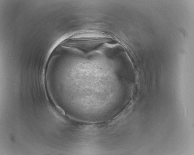 X0000115840100200911271229