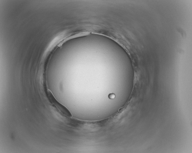 X0000115840101200911271229