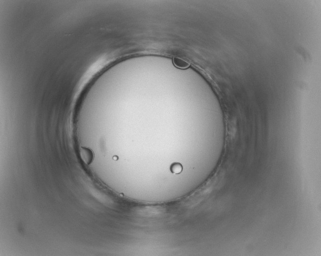 X0000115840102200911271229