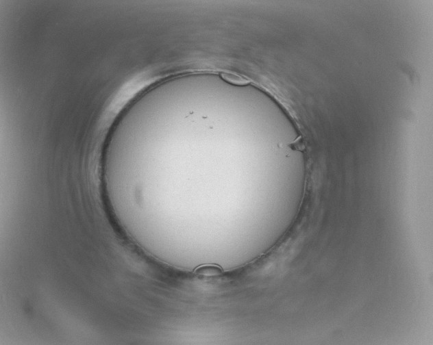 X0000115840103200911271229