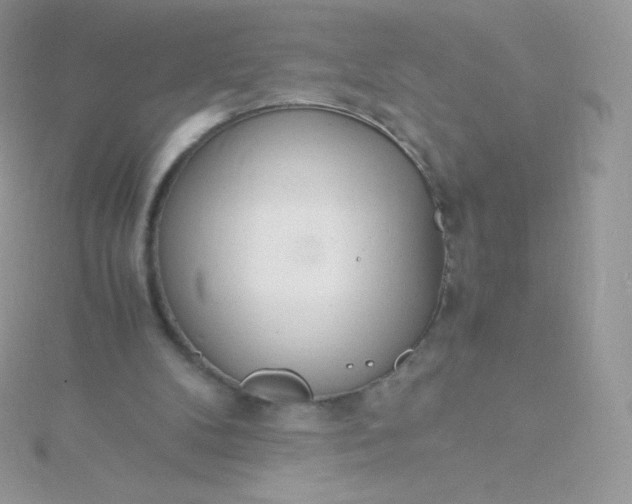 X0000115840104200911271229