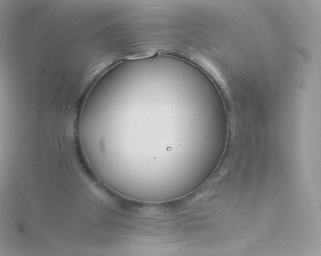 X0000115840105200911271229