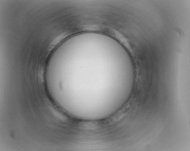 X0000115840106200911271229