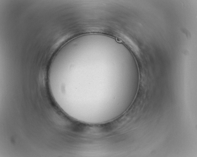 X0000115840107200911271229