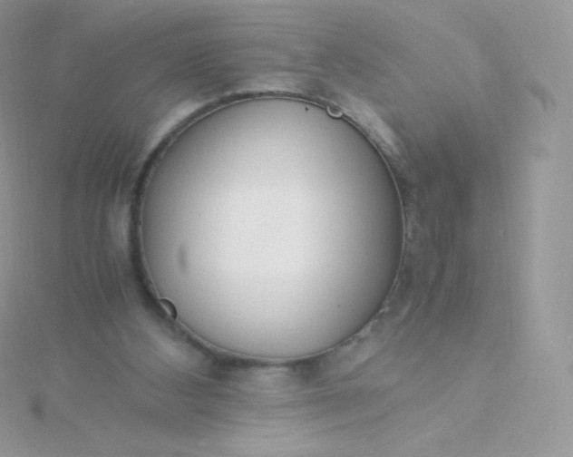 X0000115840108200911271229