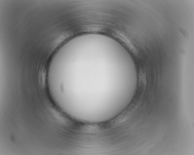 X0000115840110200911271229