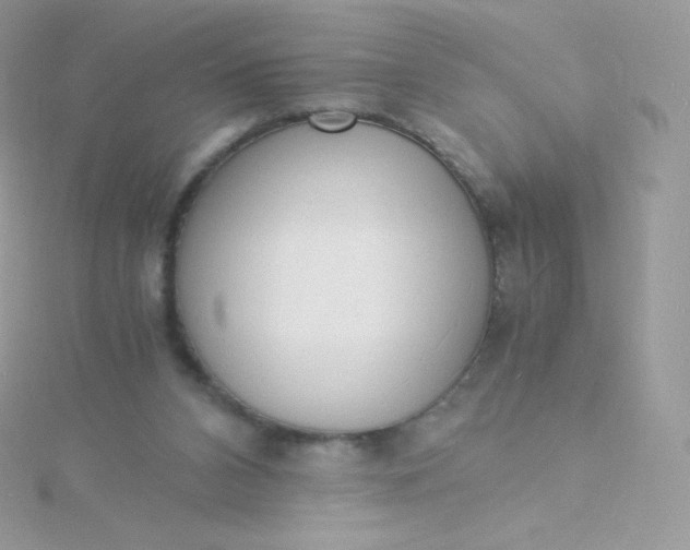 X0000115840112200911271229