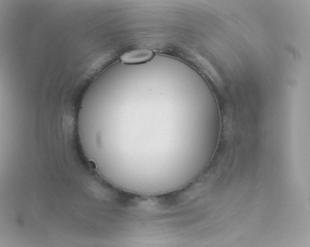 X0000115840113200911271229