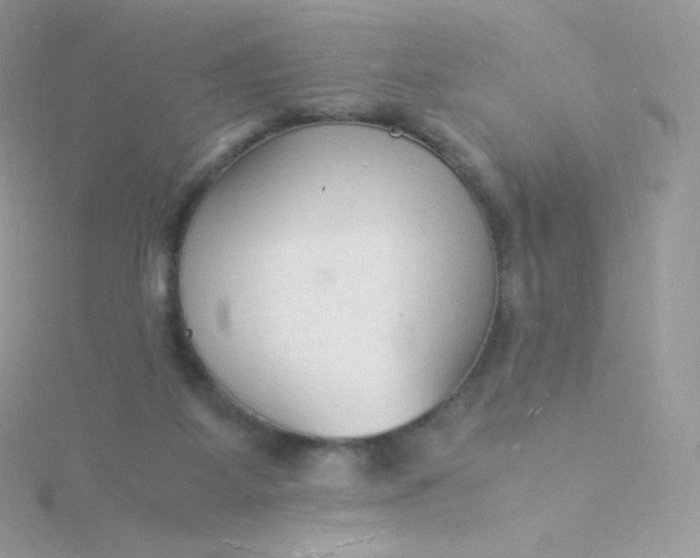 X0000115840115200911271229