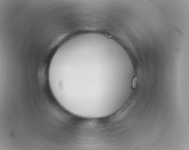 X0000115840116200911271229