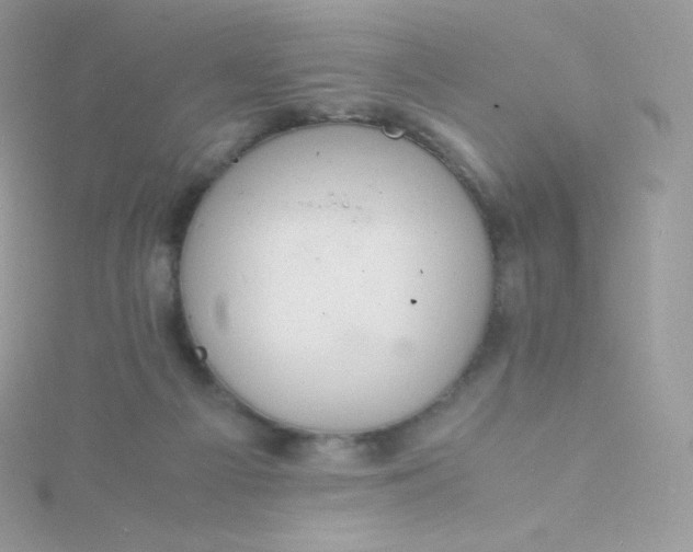 X0000115840121200911271229